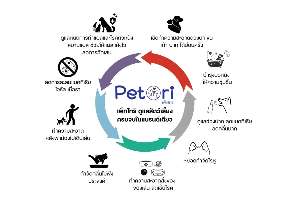 เพ็ทโทริใช้ทำอะไรได้บ้าง