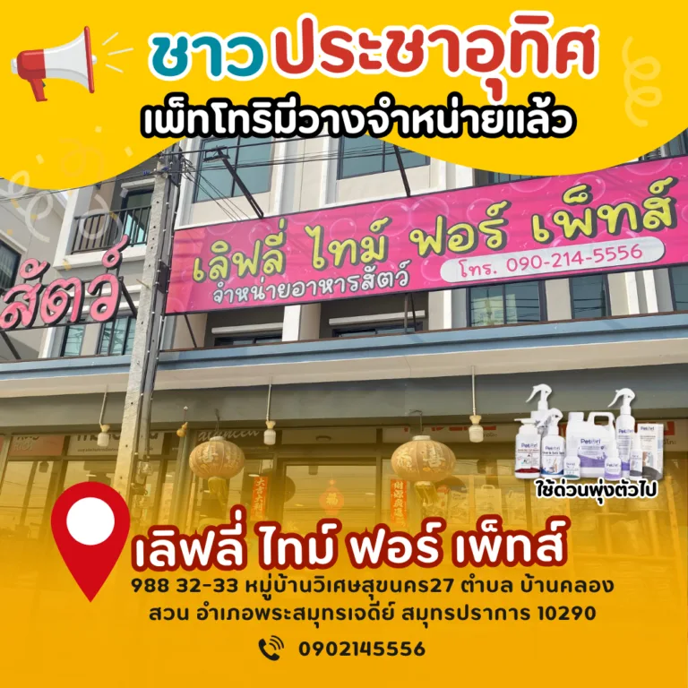 เลิฟลี่ ไทม์ ฟอร์ เพ็ทส์