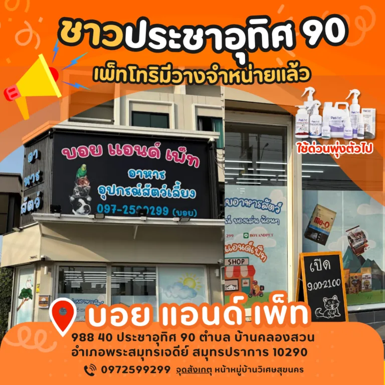 บอย แอนด์ เพ็ท